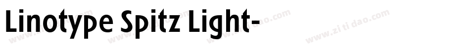 Linotype Spitz Light字体转换